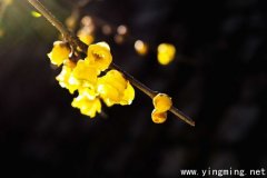 岳麓區(qū)公司建站注意的幾點(diǎn)